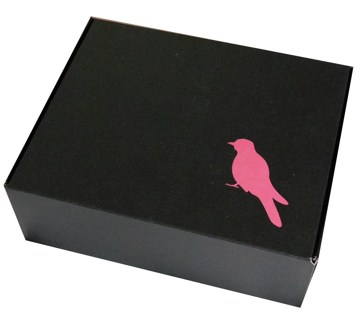 Geschenkbox Mr. Cuckoo groß