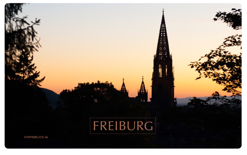 Frühstücksbrettchen Freiburg-Münster