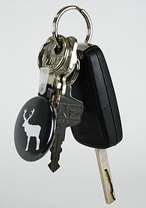 schwarzwald-schluesselanhaenger_sahirsch_1